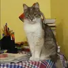 Отзыв от Галя Овсянникова